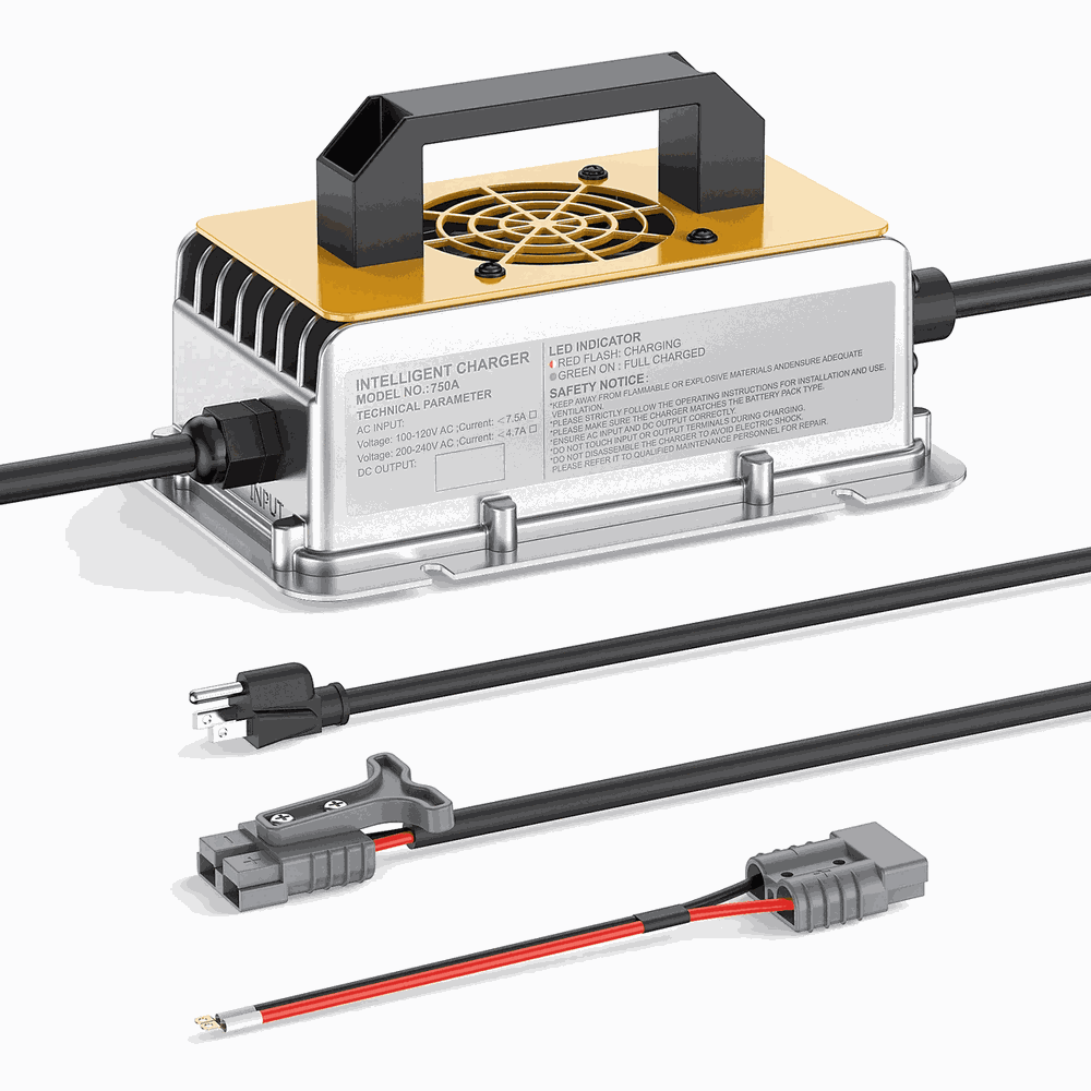 BS750A-2425 Industrial Battery Charger - Side View