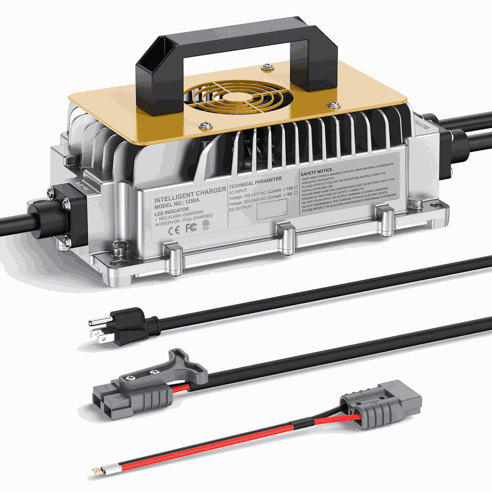 BS1250A-2430 Industrial Battery Charger - Side View
