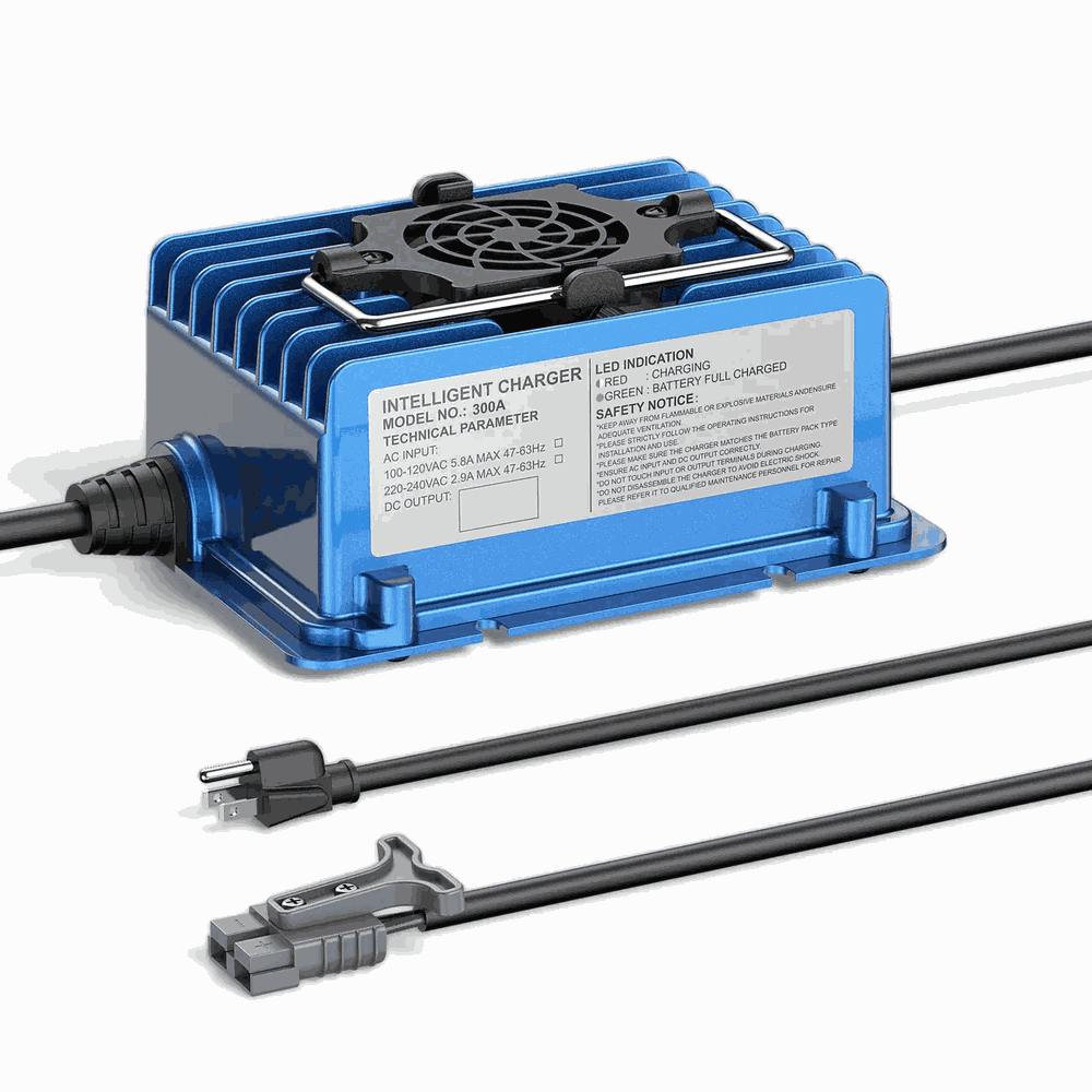 BS300A-4806 Industrial Battery Charger - Top View