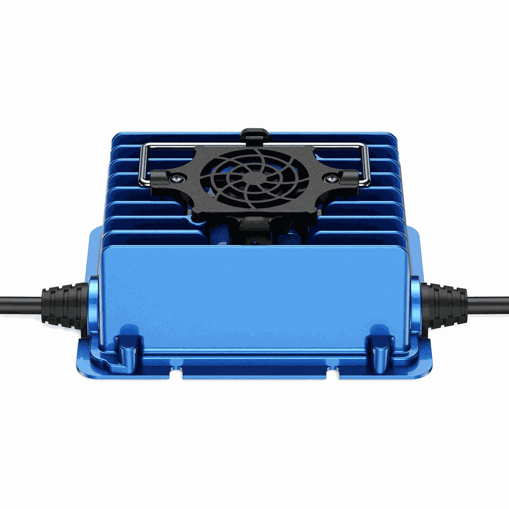 BS300A-4806 Industrial Battery Charger - Rear View