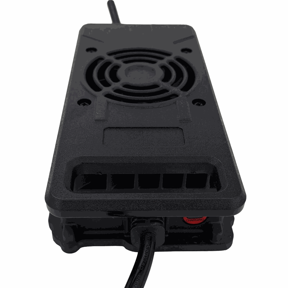BS900C-4815 Industrial Battery Charger - Rear View