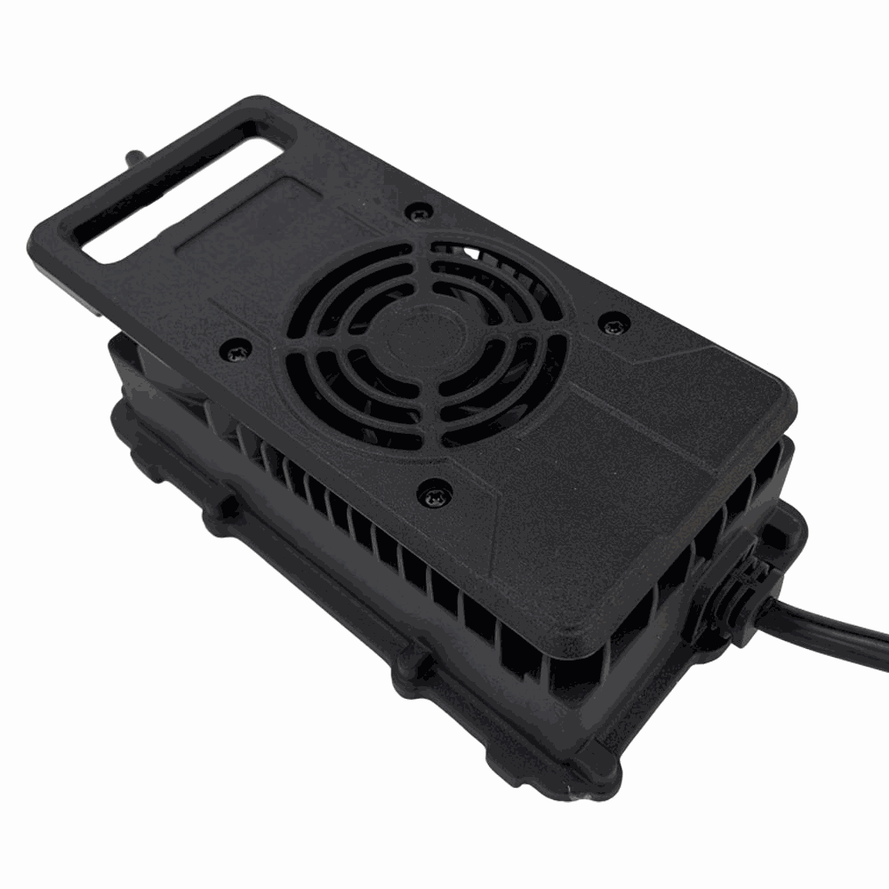 BS900C-4815 Industrial Battery Charger - Label View